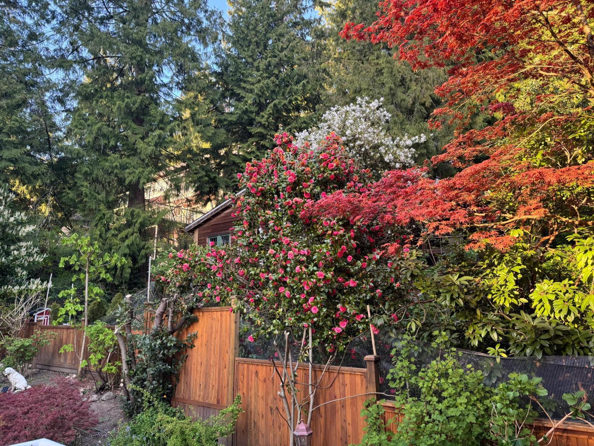 Beautiful Modern Suite North Vancouver Exteriér fotografie